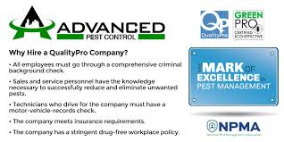 National pest management association reviews. Pest Control Experts Of Chicago Chicago S Pest Control Offers Emergency Pest Control For Chicago And Surrounding Suburbs