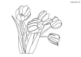 Tulpe Malvorlage Kostenlos Tulpen Ausmalbilder