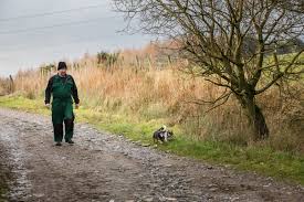For yellow jacket and hornet nests, spray a jet of the product into the entrance hole, taking care to stand as far back as possible. Wasps How To Find The Nest The Top 10 Wasp Nest Locations In Your Home And Garden Dalgetty Pest Control