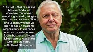 Sir david attenborough's 90th birthday might be days away but the godfather of natural history remains as indefatigable as ever. Truthful Quote From David Attenborough I Wish The Rest Of The World Thought Like This Words David Attenborough Save Earth