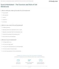 An animal cell is defined as the basic structural and functional unit of life in organisms of the kingdom animalia. Quiz Worksheet The Function And Role Of Cell Membrane Study Com