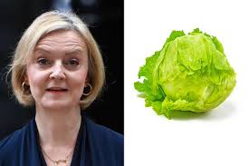 Jackie Dalrymple (@JackieDalr83959)