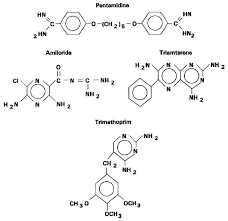 Image result for Pentamidine