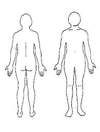 Body Outline Diagram Outline Of A Body Cliparts Co Jpg 352 464 Body Outline Body Template Body Lower dumbbells laterally slightly arch upper back body outline body template