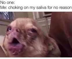 500 Spicy Memes Ideas In 2021 Memes Funny Memes Funny Pictures Muchos especularon que fue acuñado en el tablón /s4s/ de 4chan.