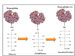 laboratory diagnosis of hba1c a review medcrave online