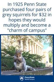 Whether you have a science buff or a harry potter fanatic, look no further than this list of trivia questions and answers for kids of all ages that will be fun for little minds to ponder. 13 Penn State Trivia Ideas Penn State Trivia States
