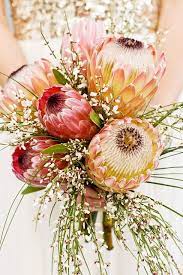 Gorgeous Proteas Protea Wedding Protea Bouquet Beautiful Flowers