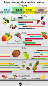 Saisonkalender Wann Wachst Welches Gemuse Obst Plantura In 2020 Obst Stangenbohnen Gemuseanbau