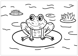 The frog's eyes are large and are found in fresh water. Frogs For Kids Frogs Kids Coloring Pages