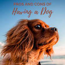 We did not find results for: The Advantages And Disadvantages Of Having A Dog Pethelpful