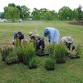 Armidale Dumaresq Creek regeneration event image