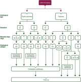 Esmo has clinical practice guidelines on the following lung and chest tumours: Table Of Contents Page Annals Of Oncology