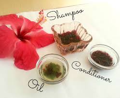 Check spelling or type a new query. Diy Hibiscus Hair Care 5 Steps Instructables