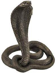 Amazon Com Veronese Design Large Bronzed King Cobra Statue Home Kitchen King Cobra Snake King Cobra Cobra Snake