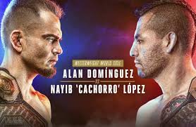 Ya hay momios I Conoce a los favoritos en las apuestas de LUX 044: Hugo  Flores vs. Luis Márquez