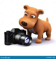 Hund 3d findet eine Kamera stock abbildung. Illustration von köter -  44999360