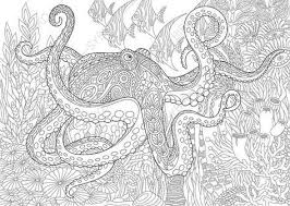 Ocean coloring pages summer coloring pages fish coloring page animal coloring pages coloring book pages coloring sheets free printable coloring pages illustration seahorses. Pin On Fish Aquatic Life Water Ocean