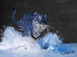 Maltese Tiger A Home Maltese Tiger Video Images Blue Tiger News Wild Cats Rare Animals Animals Beautiful