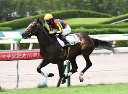 このアカウントには、性的興奮を催すリンクや破廉恥な画像を多数含みます。 もし嫌悪感を感じたらミュートないしはブロック下さい。 #uncensored #無修正 #pornstar #av女優. Prdu6qhtgexdcm