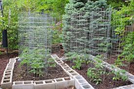 Small Backyard Vegetable Garden Ideas Gardeningidea Home Vegetable Garden Design Garden Layout Vegetable Garden Trellis