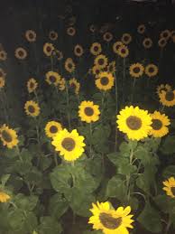 Maybe you would like to learn more about one of these? Sunflower