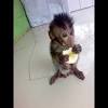 Anak cacing di dalam tanah. Https Encrypted Tbn0 Gstatic Com Images Q Tbn And9gcrvcow2lfdr Ytj3w Fyh7tj Qykt4asmxmybl0ihc Usqp Cau