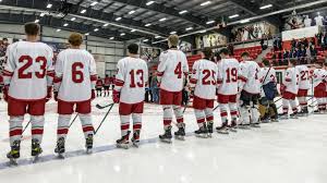 Parents Now Have Leverage In Local Aaa Hockey Debate | Sudbury Star