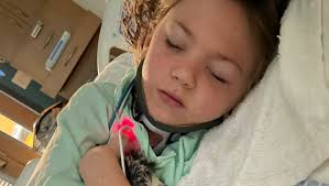 Fundraiser for Jared King by Lindsey Walker : #SadieStrong