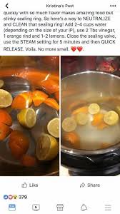 Instant Pot Deodorizer Orange Peels Lemons Water Vinegar And Steam Setting Takes Care Of The Seal Instant Pot Recipes Pot Recipes Pressure Cooker Recipes