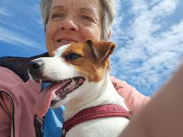 Happy New Year to everybody, i made few pictures to you all to use as new  years greeting pics i you want 🥰 ( as info to all AI picture haters, i