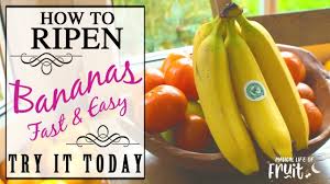 How To Ripen Bananas Fast Easy Try It Today Banana Facts Banana Food Videos