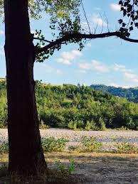 He is a talent agent and actor. A Day At The River Park Of Marano