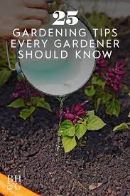 25 Gardening Tips You Ll Wish You D Known Sooner Gardening Tips Garden Care Gardening Trends