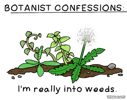 Botany Tails From The Field Biology Humor Botany Science Humor Chemistry