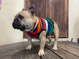 Maybe you would like to learn more about one of these? Crazy Zebra ã‚¿ãƒ³ã‚¯ French Bulldog ã‚¤ãƒ³ã‚°ãƒªãƒƒã‚·ãƒ¥ãƒ–ãƒ«ãƒ‰ãƒƒã‚° ãƒ•ãƒ¬ãƒ³ãƒãƒ–ãƒ«ãƒ‰ãƒƒã‚°ã®ã‚ªãƒªã‚¸ãƒŠãƒ«æœã¨ã‚°ãƒƒã‚ºã®è²©å£² ãƒ–ãƒ« ãƒ–ãƒ¼