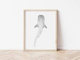Whale Shark Line Art Print | Beach Decor | Line Drawing | Marine Life |  Printable Wall Art | Minimalist Wall Art | Sea Animal | Whale Print - Etsy  UK