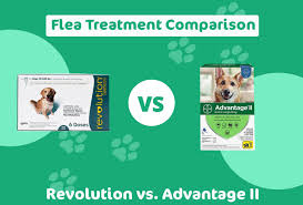 Revolution Vs Advantage Ii Flea Treatment We Asked A Vet Pet Keen
