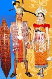 Gambar perbedaan irisan melintang batang dikotil dan monokotil. Pakaian Tradisional Gambar Kartun Pelbagai Kaum Di Malaysia