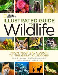Anyone who has ever watch. National Geographic Illustrated Guide To Wildlife From Your Back Door To The Great Outdoors National Geographic Catherine Herbert Howell 9781426213724 Amazon Com Books