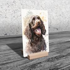 Image result for irský vodní španěl