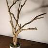 Easy diy industrial jewelry wall organizer. Https Encrypted Tbn0 Gstatic Com Images Q Tbn And9gcsrrh T5ppqrm18mm0d0 Cwzvn Ktnku04eg0ua0dnmyf6px8uy Usqp Cau