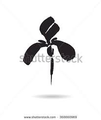 Iris Stock Vectors Vector Clip Art Iris Flowers Vector Flowers Iris