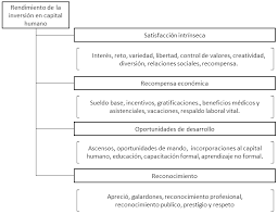 Human capital.png 700 × 3 122; Rendimientos De Capital Humano Download Scientific Diagram