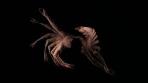 in/out: Mt. Wolf "Midnight Shallows"