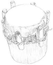 Image result for Crateranthus congolensis