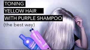 Erlebe mit unseren professionellen shampoos schnelle veränderung in kurzer zeit. Purple Shampoo Every Question Answered Get Good Head