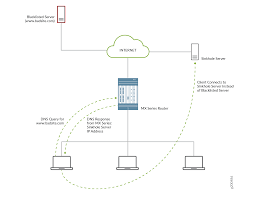 Dns Request Filtering For Disallowed Website Domains Techlibrary Juniper Networks