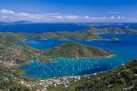 Issued the following albert bryan jr. Us Virgin Islands Caribbean Trademarks And Patents