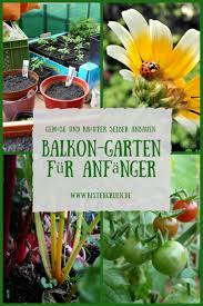 Balkongarten Anlegen Fur Anfanger Tricks Zum Anbau Von Gemuse Und Krauter Auf Dem Balkon Gardening Tips Anpflanzen Balkon Gartenarbeit Fur Anfanger Balkongarten